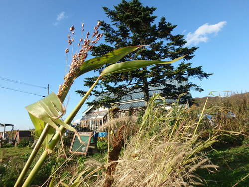 PA150978.JPG