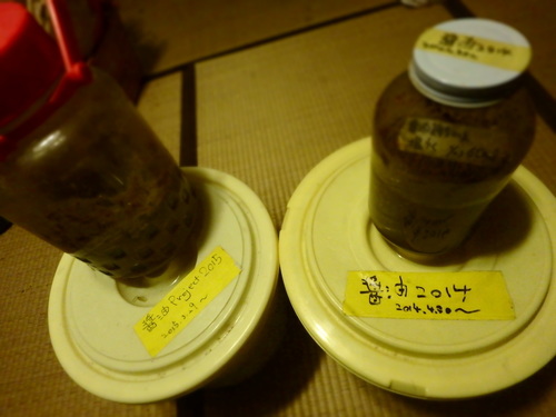 PA201007.JPG