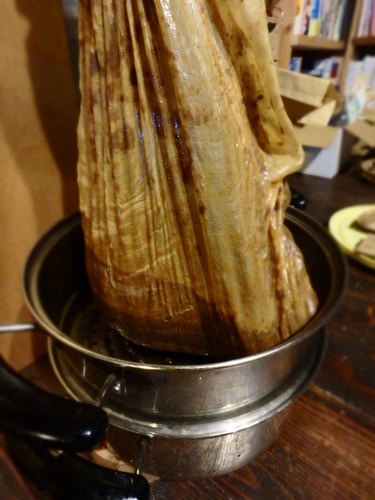 PA241068.JPG
