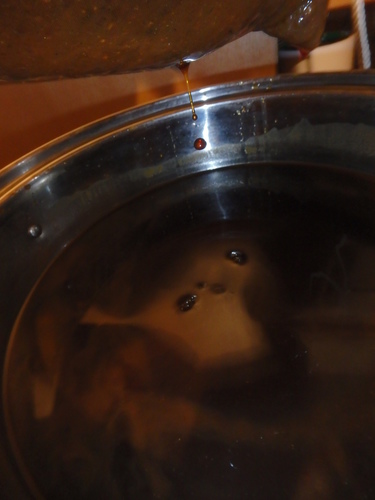 PA241100.JPG