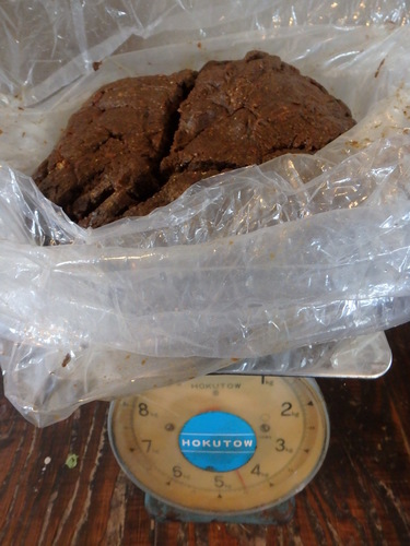 PA271110.JPG