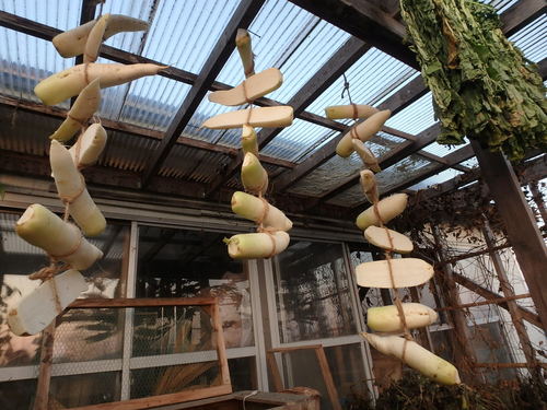 PB011140.JPG