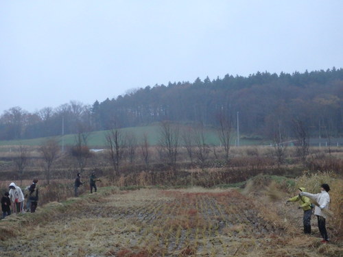 PB081334.JPG