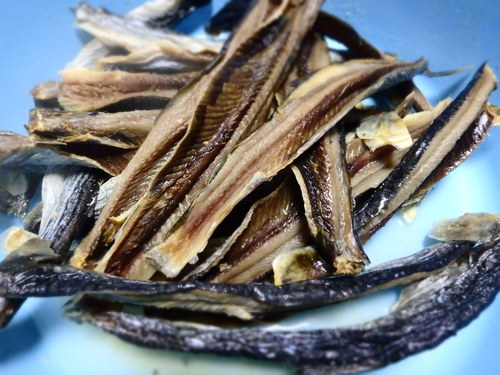 PB100095.JPG