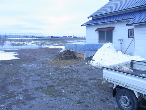 RIMG0684.JPG